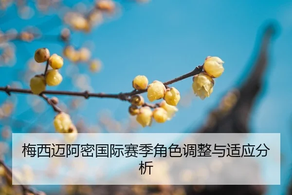 mei-xi-mai-a-mi-guo-ji-sai-ji-jue-se-tiao-zheng-yu-shi-ying-fen-xi-2-732.jpg