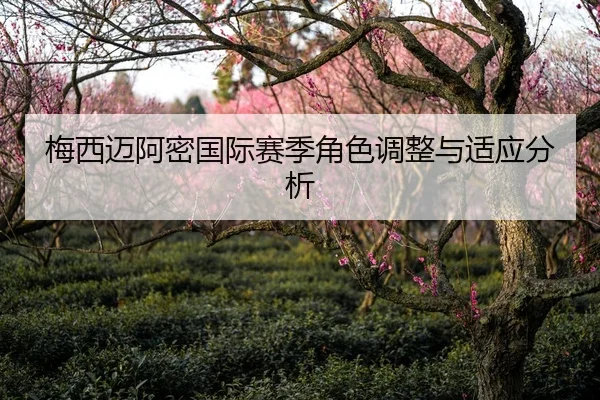 梅西迈阿密国际赛季角色调整与适应分析